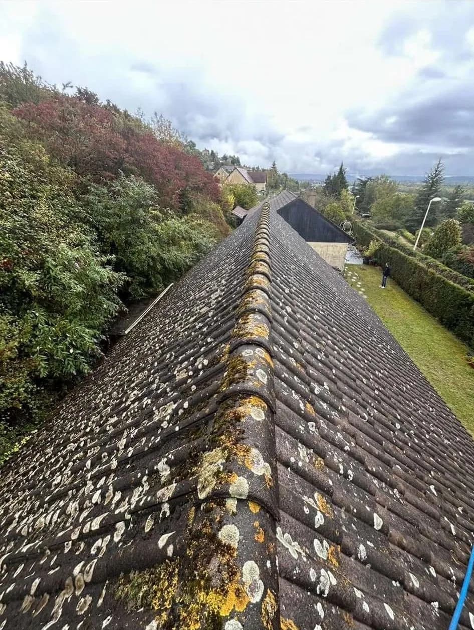 Toiture en tuiles vue depuis le faîtage, couverte de lichens jaunes et blancs, avant nettoyage